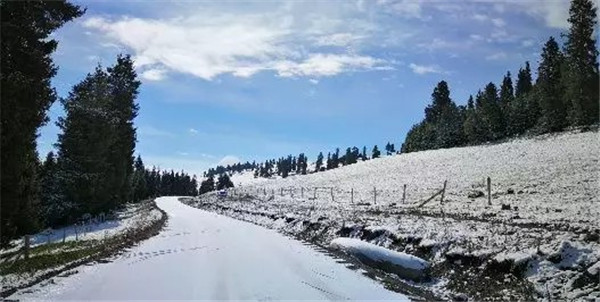 1572831552597686.jpg 640 (20).jpg